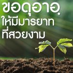 ดุอาอฺขอให้มีมารยาทที่สวยงาม