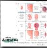 ตัฟซีร ซูเราะฮฺอัลอันอาม 11 (อายะฮฺ 19)