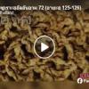 ตัฟซีร ซูเราะฮฺอัลอันอาม 72 (อายะฮฺ 125-126)