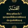 ฟิตนะฮฺ 